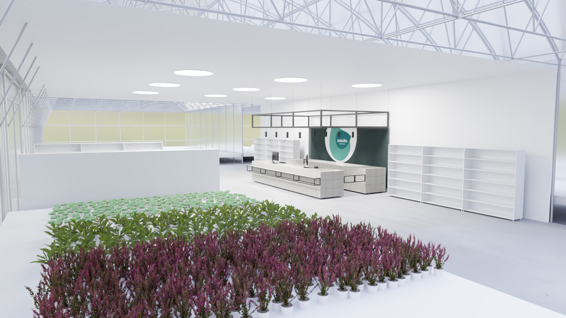 Visualisation of the interior design concept for the Vrtnarstvo Antolin in Forme, showing the arrangement with the cashier’s desk opposite from the entrance, with the entrance in the center of the greenhouse.